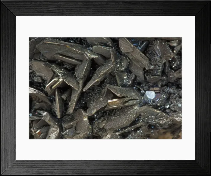 Framed Print : Picture No. 11050172