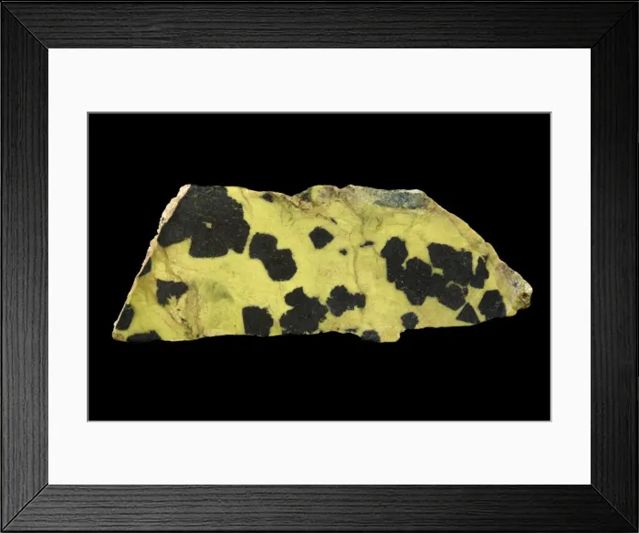 Framed Print : Picture No. 11050175 Framed Print : Picture No. 11050175