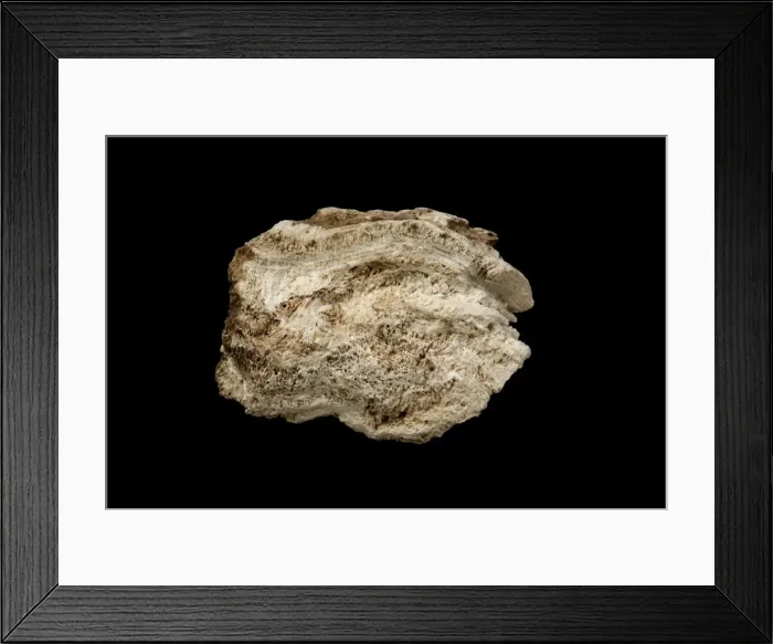 Framed Print : Picture No. 11050181 Framed Print : Picture No. 11050181