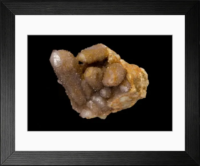 Framed Print : Picture No. 11050189 Framed Print : Picture No. 11050189