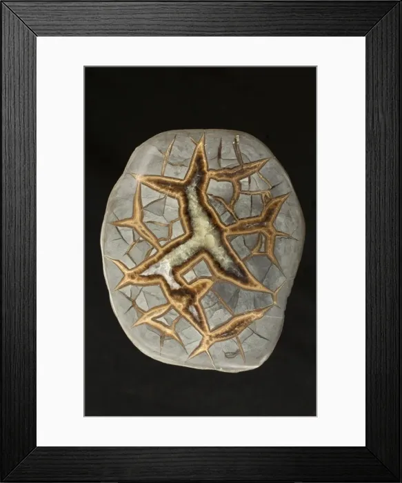 Framed Print : Picture No. 11050190 Framed Print : Picture No. 11050190