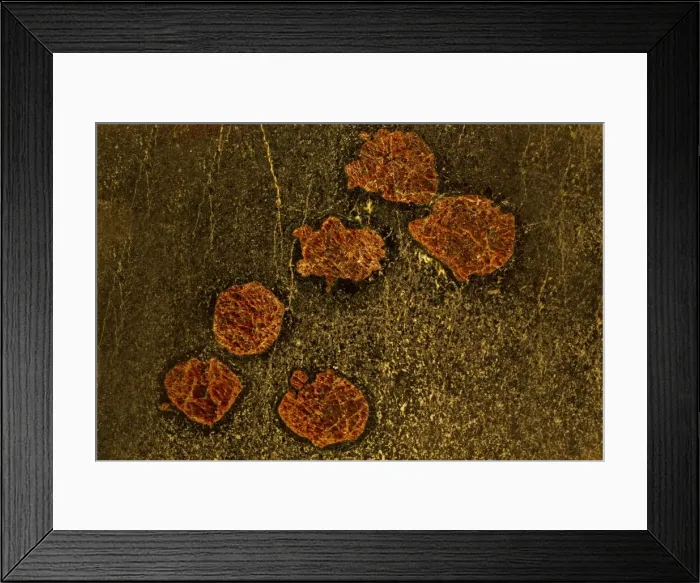 Framed Print : Picture No. 11050213 Framed Print : Picture No. 11050213