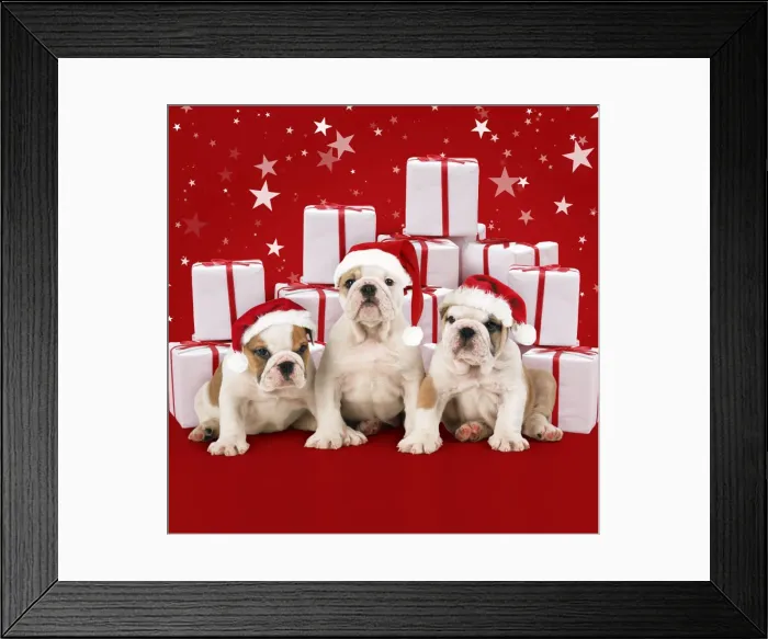Framed Print : Picture No. 11050937 Framed Print : Picture No. 11050937