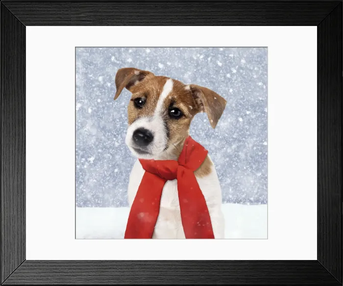 Framed Print : Picture No. 11049975 Framed Print : Picture No. 11049975