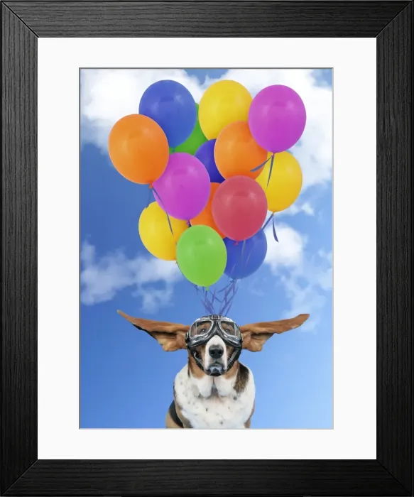 Framed Print : Picture No. 11050940 Framed Print : Picture No. 11050940