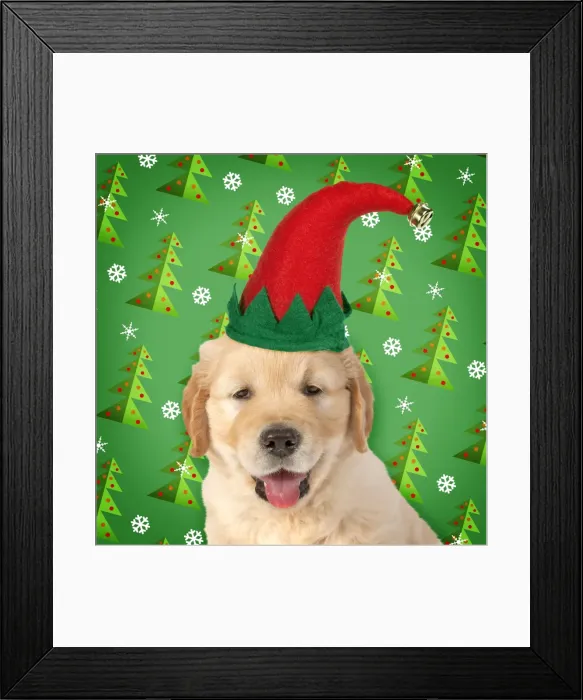 Framed Print : Picture No. 11049974