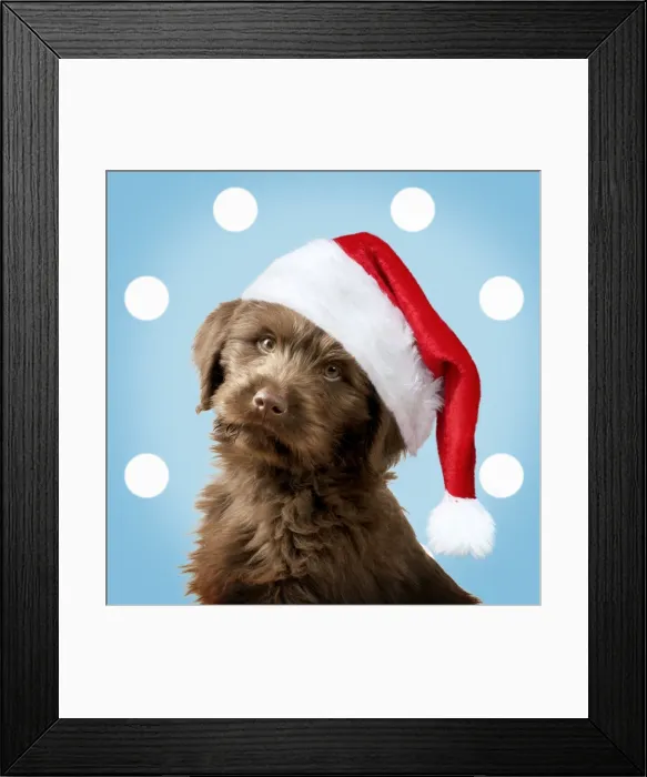 Framed Print : Picture No. 11049973
