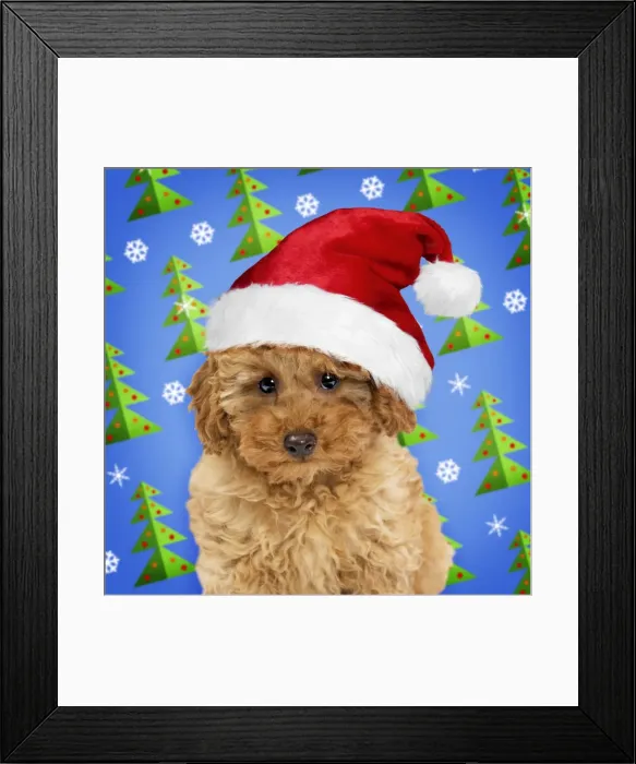 Framed Print : Picture No. 11049979 Framed Print : Picture No. 11049979