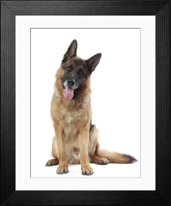 Framed Print : Picture No. 11050291 Framed Print : Picture No. 11050291