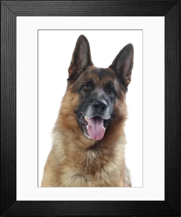 Framed Print : Picture No. 11050288 Framed Print : Picture No. 11050288