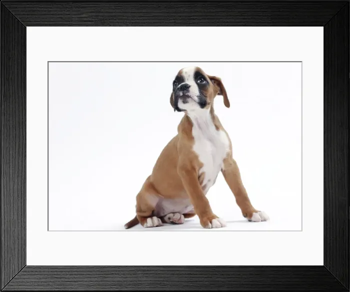 Framed Print : Picture No. 11050311 Framed Print : Picture No. 11050311