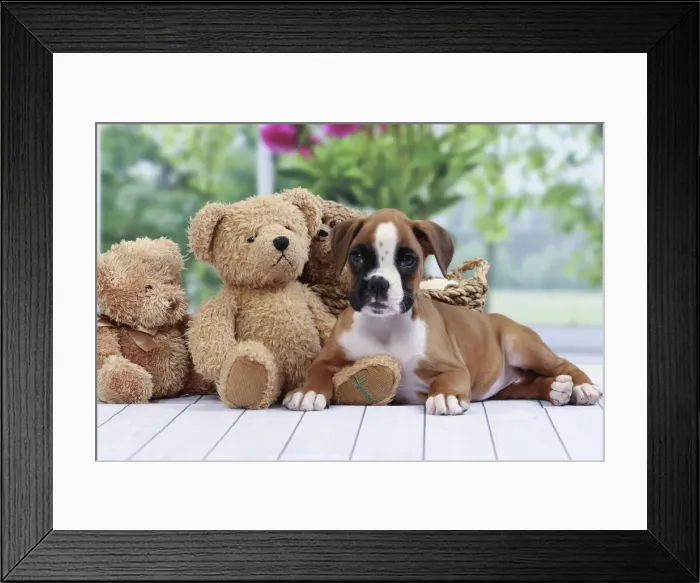 Framed Print : Picture No. 11050313 Framed Print : Picture No. 11050313