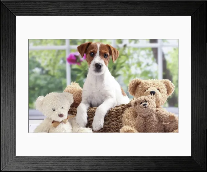 Framed Print : Picture No. 11050317 Framed Print : Picture No. 11050317