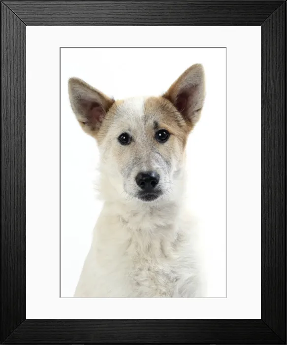 Framed Print : Picture No. 11050326 Framed Print : Picture No. 11050326