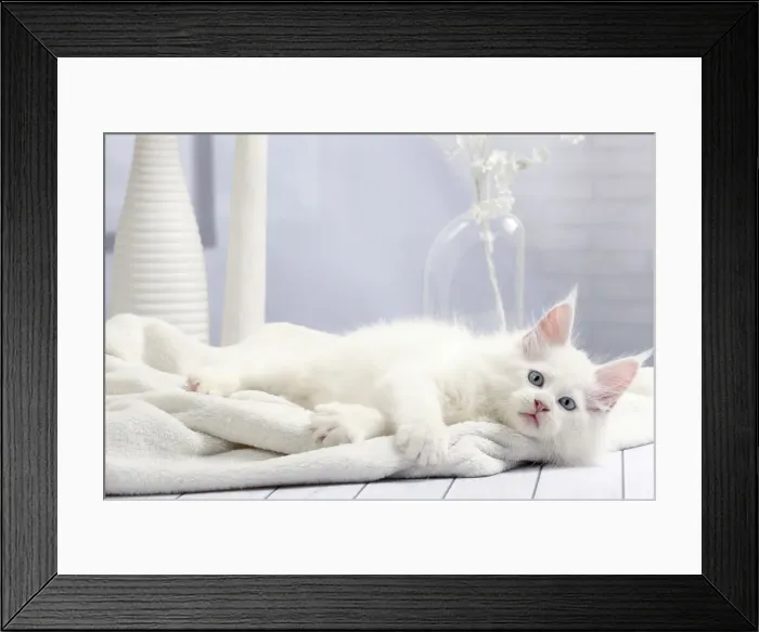 Framed Print : Picture No. 11050340 Framed Print : Picture No. 11050340