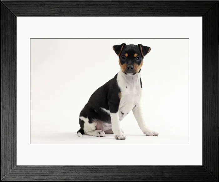 Framed Print : Picture No. 11050356 Framed Print : Picture No. 11050356