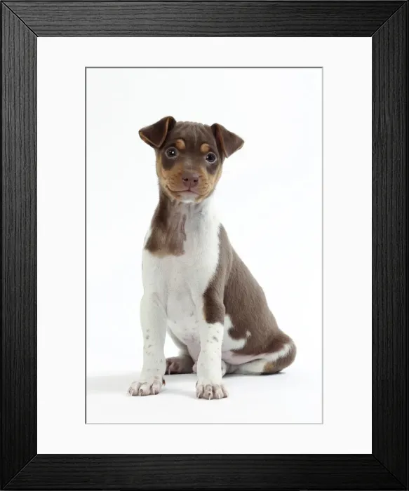 Framed Print : Picture No. 11050360 Framed Print : Picture No. 11050360