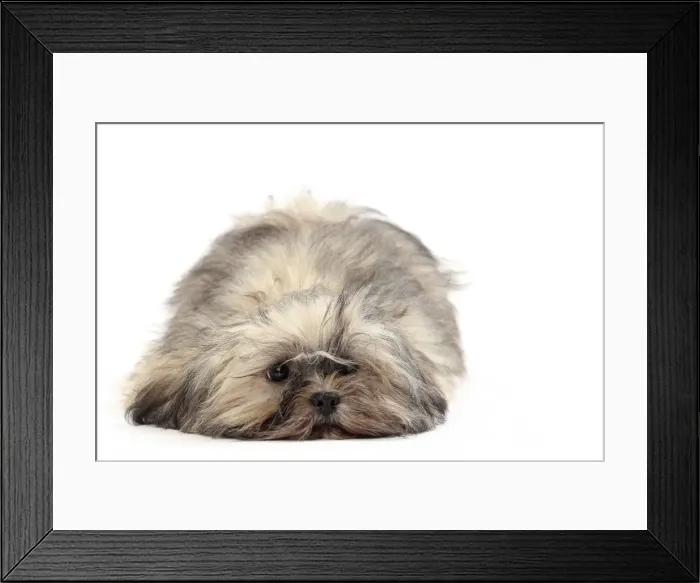Framed Print : Picture No. 11050368 Framed Print : Picture No. 11050368