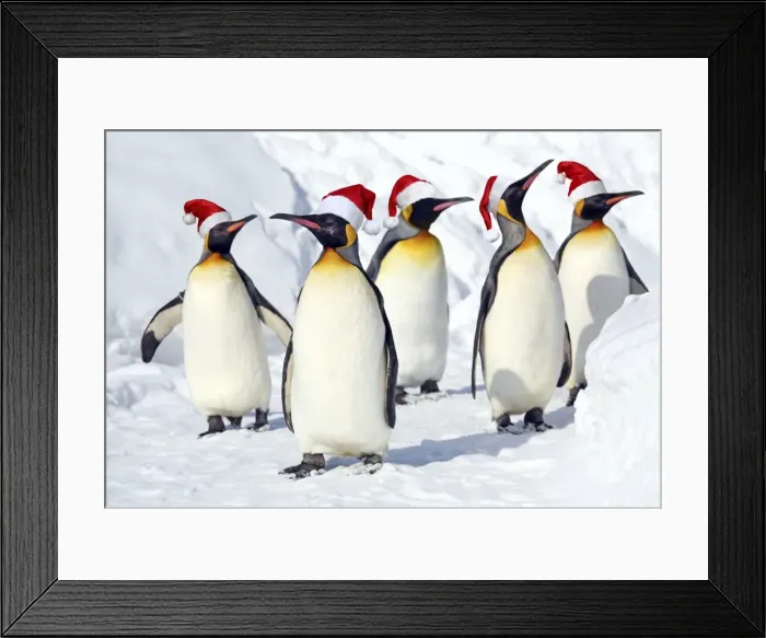 Framed Print : Picture No. 11049983 Framed Print : Picture No. 11049983
