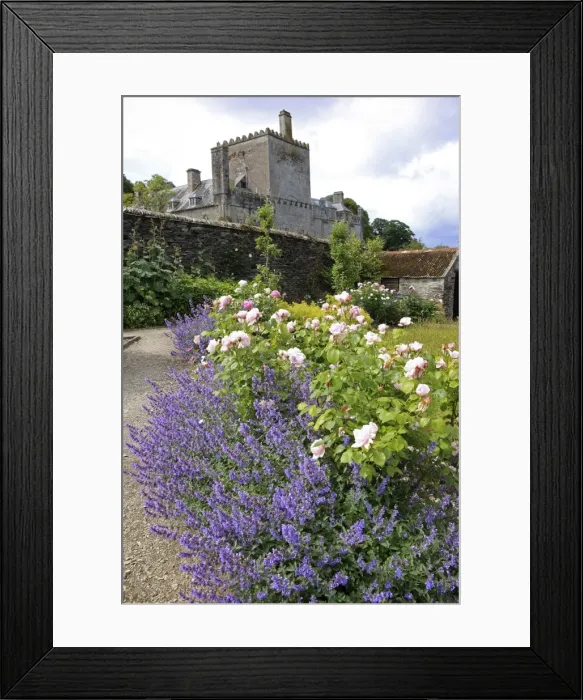 Framed Print : Picture No. 11050390 Framed Print : Picture No. 11050390