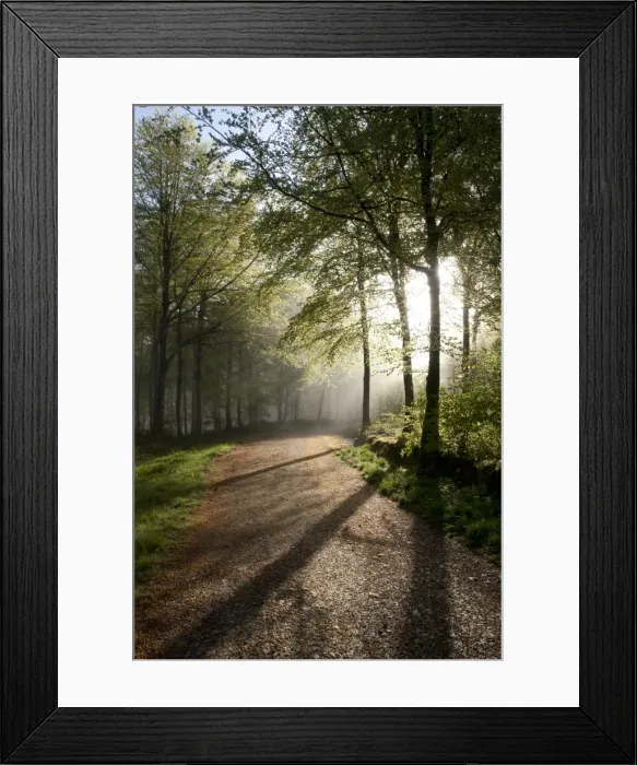 Framed Print : Picture No. 11050391 Framed Print : Picture No. 11050391