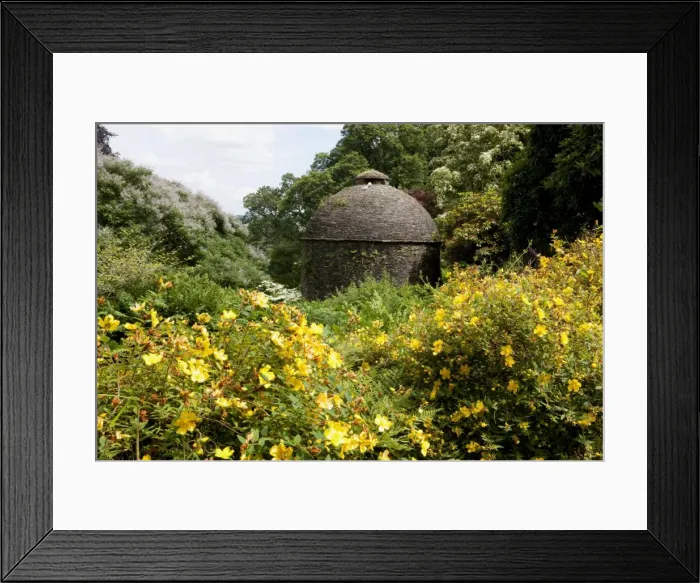 Framed Print : Picture No. 11050396 Framed Print : Picture No. 11050396