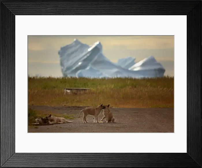 Framed Print : Picture No. 11050446 Framed Print : Picture No. 11050446