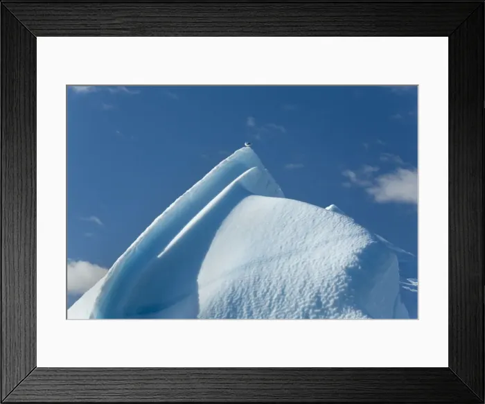 Framed Print : Picture No. 11050455 Framed Print : Picture No. 11050455