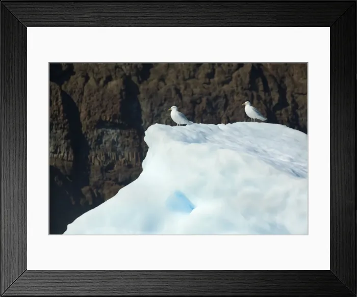 Framed Print : Picture No. 11050457 Framed Print : Picture No. 11050457