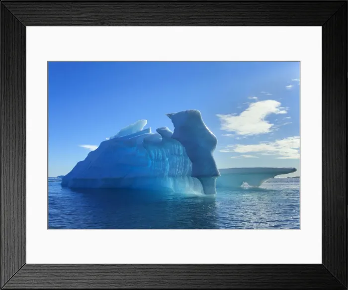 Framed Print : Picture No. 11050469 Framed Print : Picture No. 11050469
