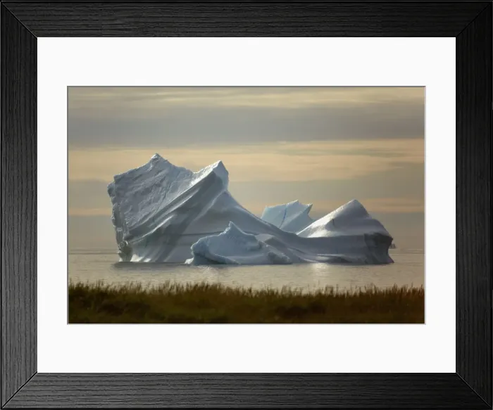 Framed Print : Picture No. 11050472 Framed Print : Picture No. 11050472