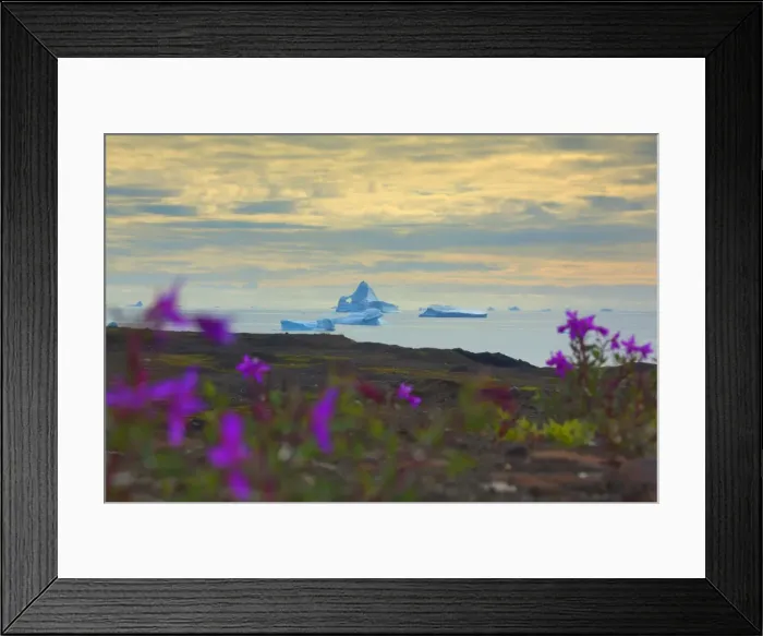Framed Print : Picture No. 11050475 Framed Print : Picture No. 11050475