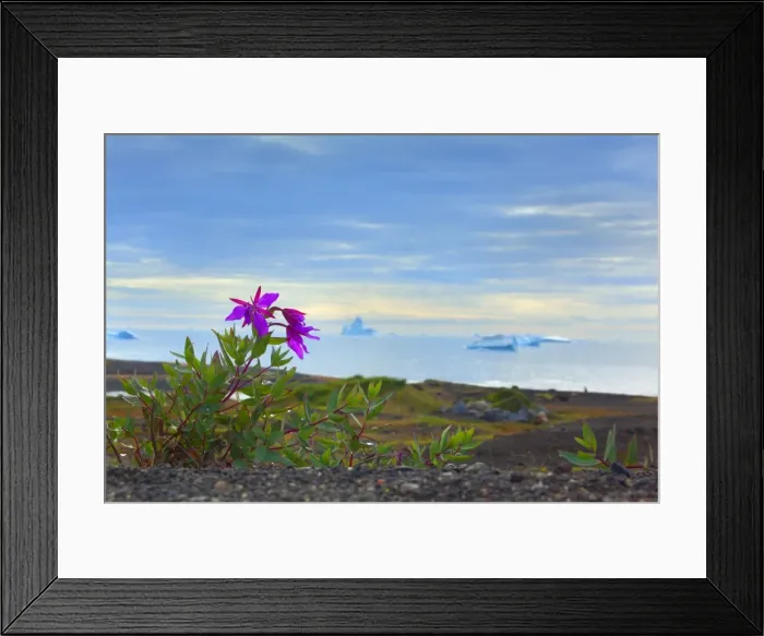 Framed Print : Picture No. 11050477 Framed Print : Picture No. 11050477