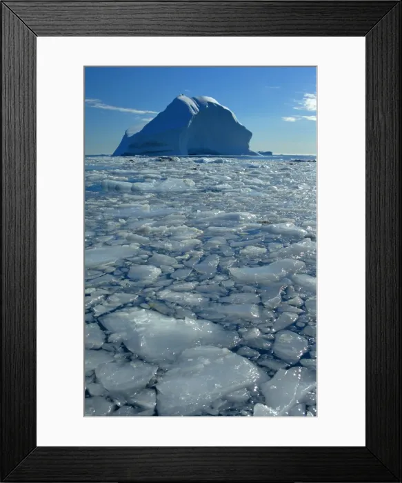 Framed Print : Picture No. 11050492