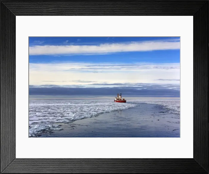 Framed Print : Picture No. 11050495 Framed Print : Picture No. 11050495