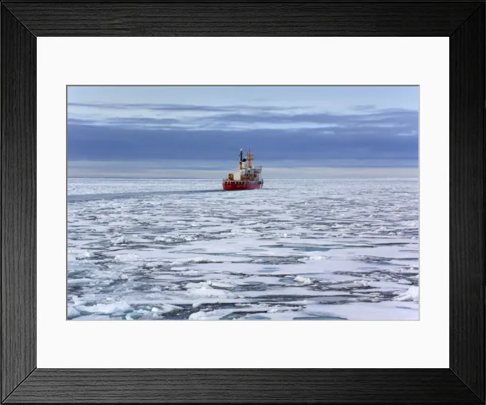 Framed Print : Picture No. 11050497 Framed Print : Picture No. 11050497