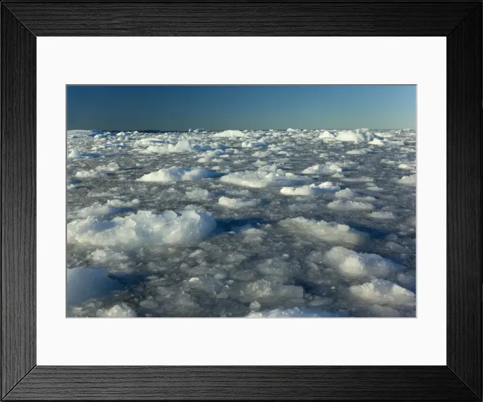 Framed Print : Picture No. 11050499 Framed Print : Picture No. 11050499