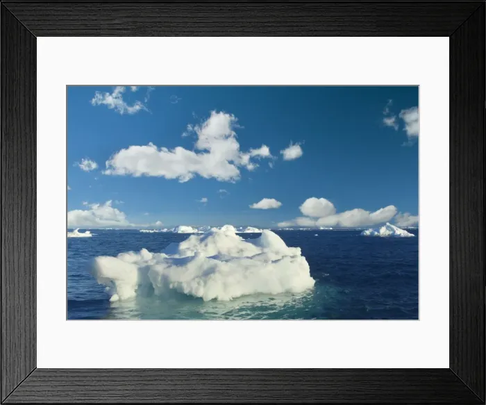 Framed Print : Picture No. 11050503 Framed Print : Picture No. 11050503