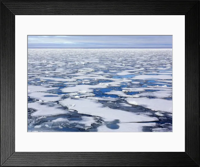 Framed Print : Picture No. 11050507 Framed Print : Picture No. 11050507