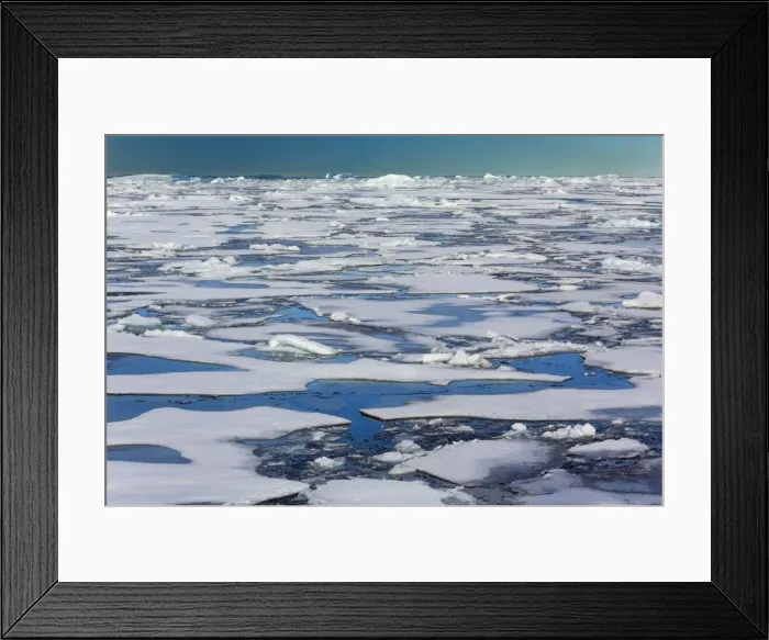 Framed Print : Picture No. 11050508 Framed Print : Picture No. 11050508