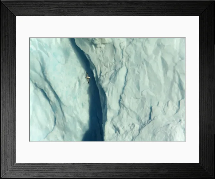 Framed Print : Picture No. 11050514 Framed Print : Picture No. 11050514