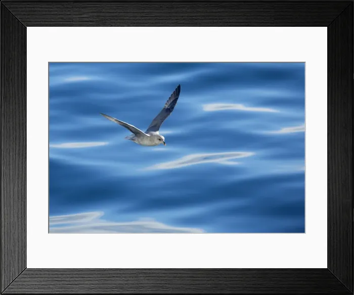 Framed Print : Picture No. 11050517 Framed Print : Picture No. 11050517