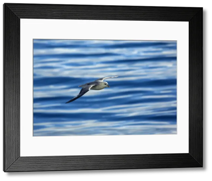 Framed Print : Picture No. 11050518 Framed Print : Picture No. 11050518