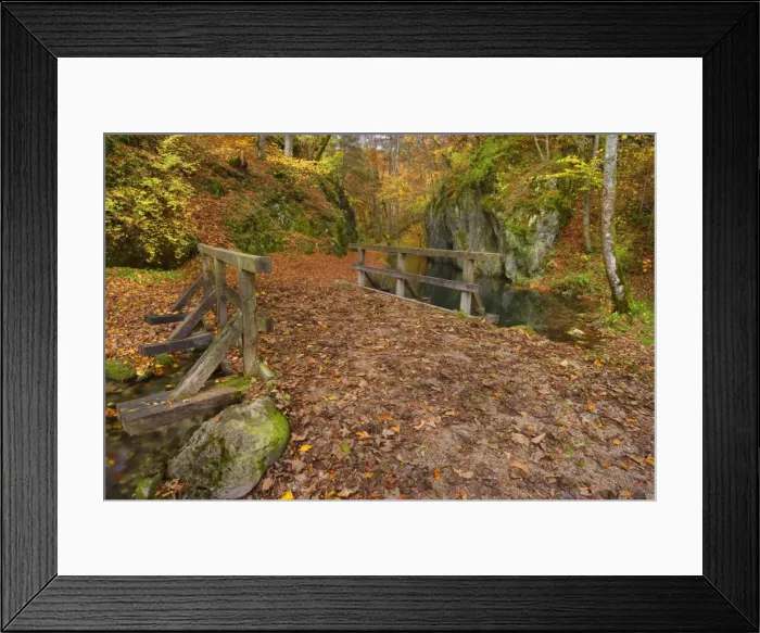 Framed Print : Picture No. 11050529 Framed Print : Picture No. 11050529