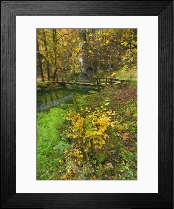 Framed Print : Picture No. 11050532 Framed Print : Picture No. 11050532