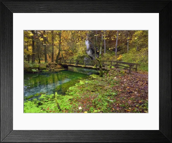 Framed Print : Picture No. 11050533 Framed Print : Picture No. 11050533