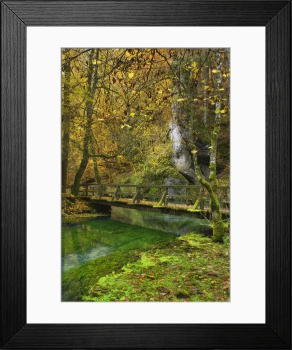 Framed Print : Picture No. 11050534 Framed Print : Picture No. 11050534