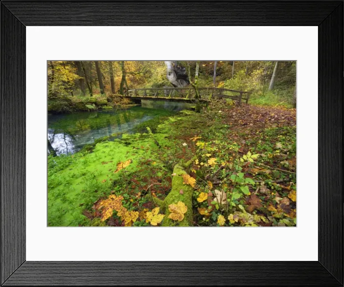 Framed Print : Picture No. 11050535 Framed Print : Picture No. 11050535