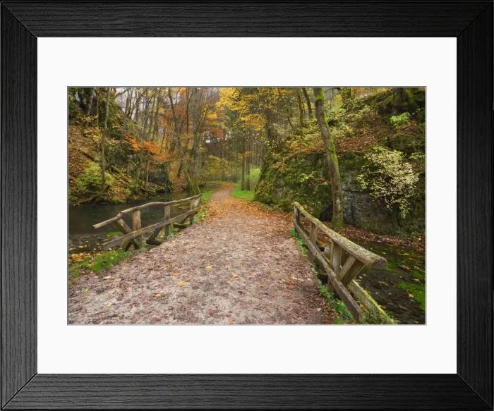 Framed Print : Picture No. 11050536 Framed Print : Picture No. 11050536