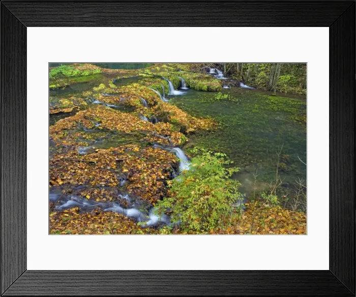 Framed Print : Picture No. 11050542 Framed Print : Picture No. 11050542